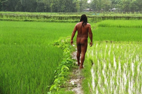 naked farmer rice paddy