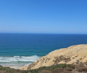 Black’s beach visit